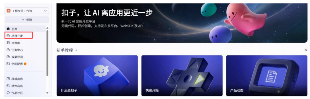 项目开发页面